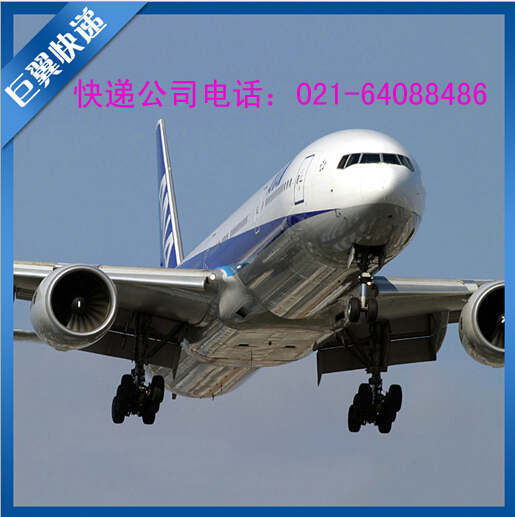 TNT上海直飞国际货运