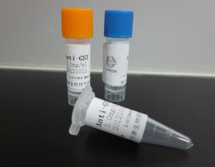 化工品国际货代液体粉末化工货物出口运输服务